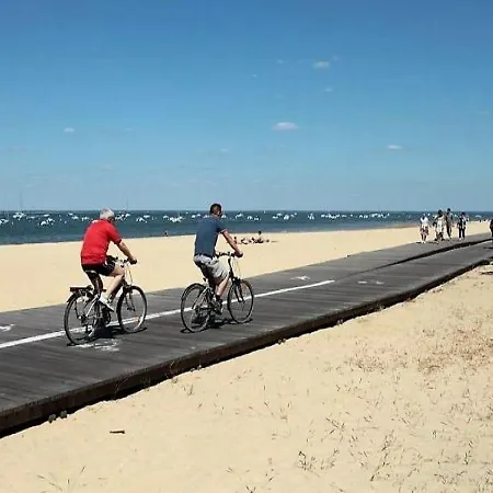 Daire Centre, Plage, Commerces, Gare A Pied - Joli T3 Refait A Neuf En Rdc Avec Cour Commune Et Petit Espace Privatif Arcachon